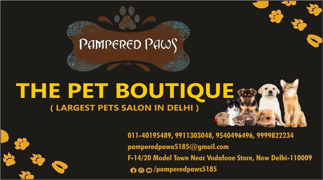 PAMPERED PAWS  (Model Town)